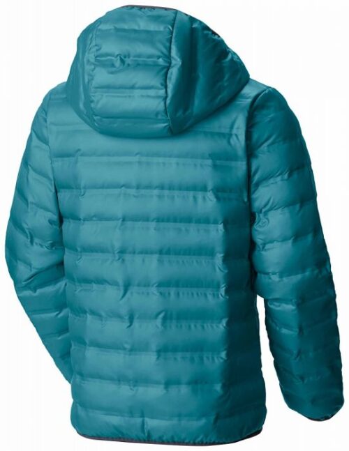 Flash Forward Hooded Down Jacket Junior - Imagen 2