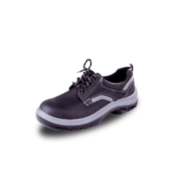 Zapato  TG 3261