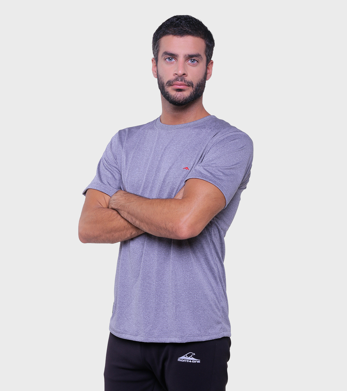 Remera de hombre Asterix