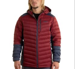 Campera Nexxt Altitude Glint Hombre